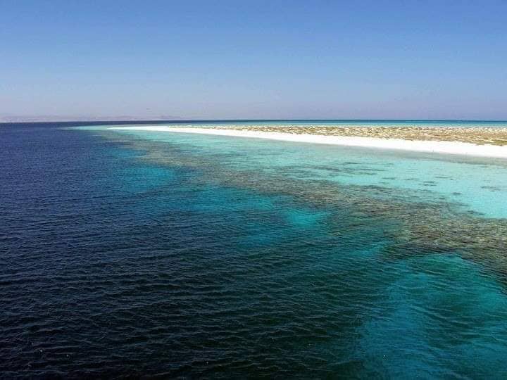 المالية: تطوير أرض البحر الأحمر واستخدامها كضمان لصكوك سيادية دون بيعها